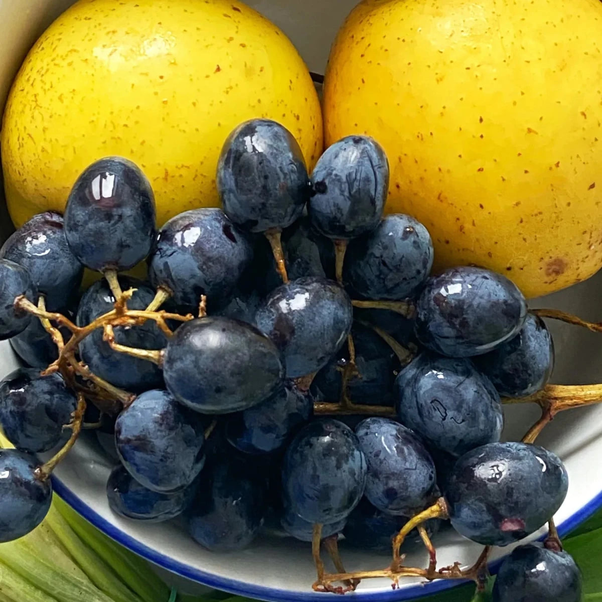 Ciotola di frutta, uva