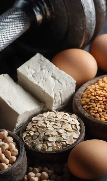 Proteine, Darm & Abnehmen: Wie alles zusammenhängt