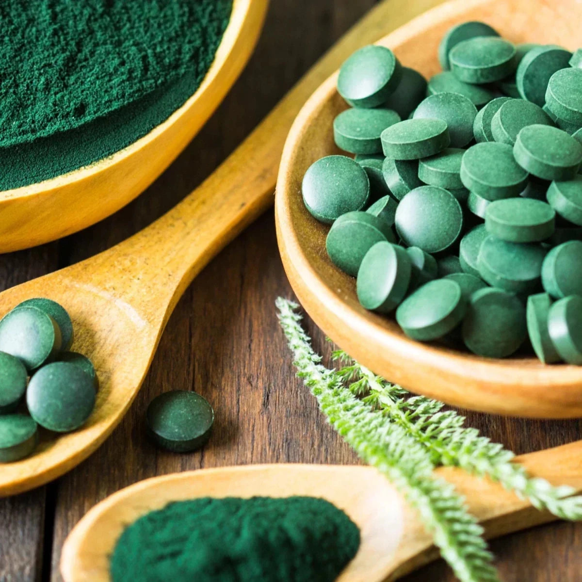 Spirulina und Chlorella Tabletten
