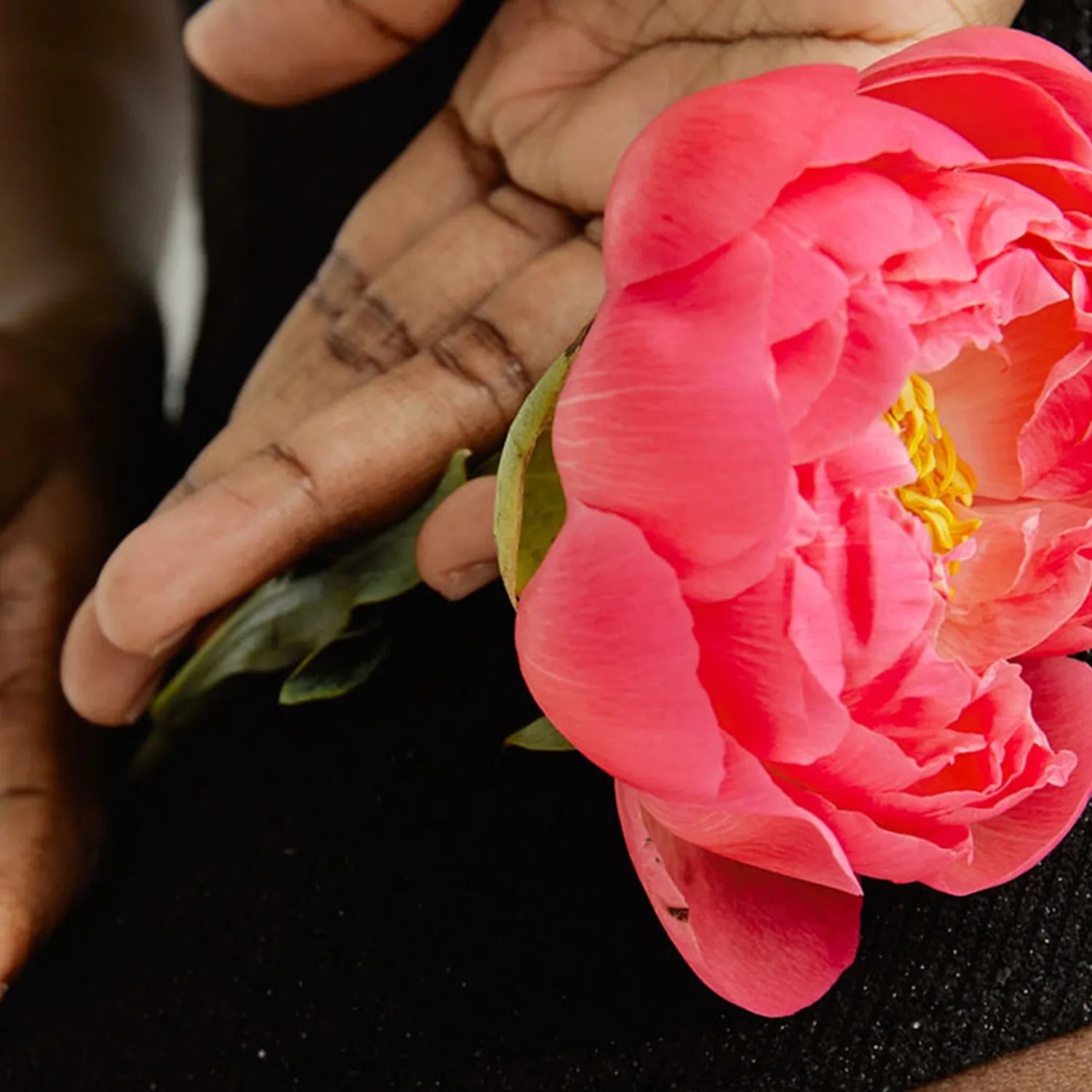 Verdauung anregen: 5 Tipps aus Omas Küche, die schnell helfen