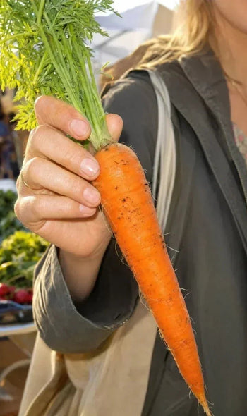 Vitamin A FAQ: Dein Kompass für Immunsystem & Haut