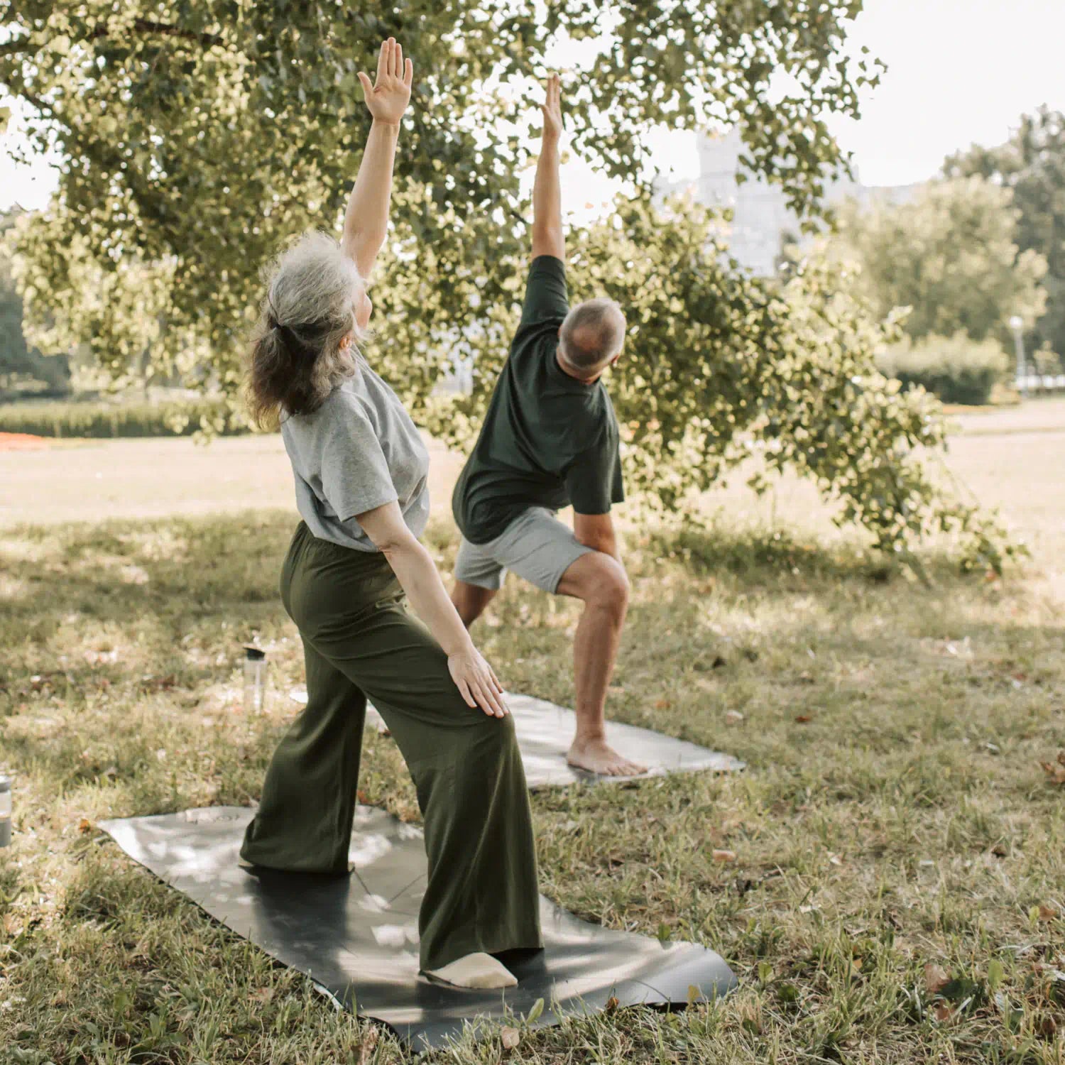 Wohlfühlen mit Weihrauch: Das natürliche Pflanzenpflaster
