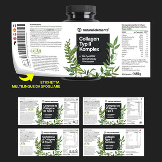 Collagen Typ II Komplex-Etikett mit grünem Blattdesign und mehrsprachigen Informationen in Deutsch, Italienisch, Spanisch und Englisch.