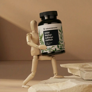 Eine hölzerne Schaufensterpuppe hält eine große Flasche MSM Methylsulfonylmethan von natürlichen Elementen.