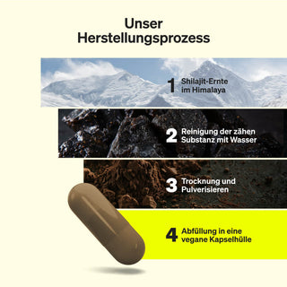 Eine Infografik, die den vierstufigen Herstellungsprozess von Shilajit-Kapseln zeigt: im Himalaya ernten, mit Wasser reinigen, trocknen und pulverisieren, dann in eine vegane Kapsel füllen.
